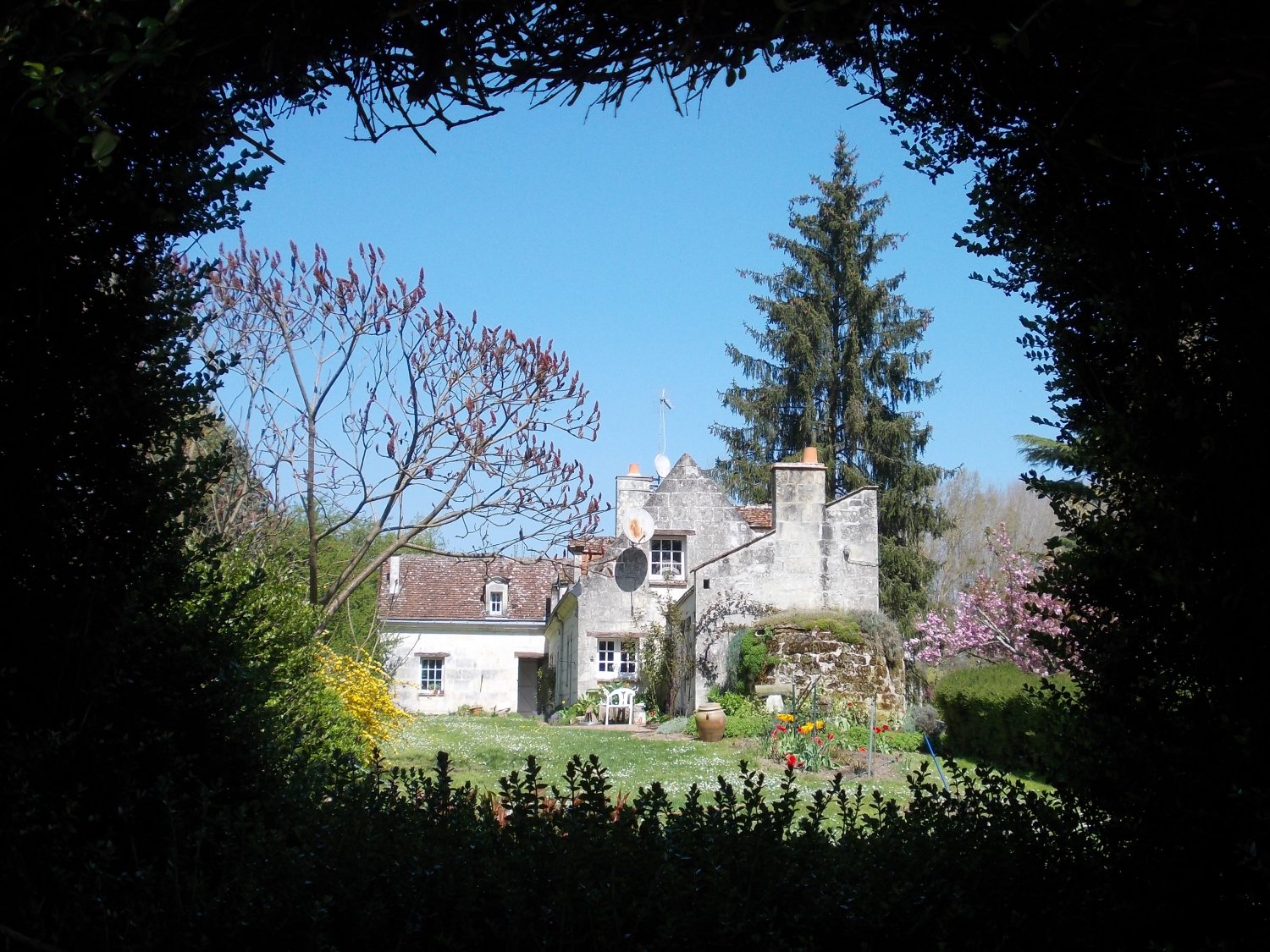 Varennes sur Loire - Boire du Chêne - L'Ile au Than