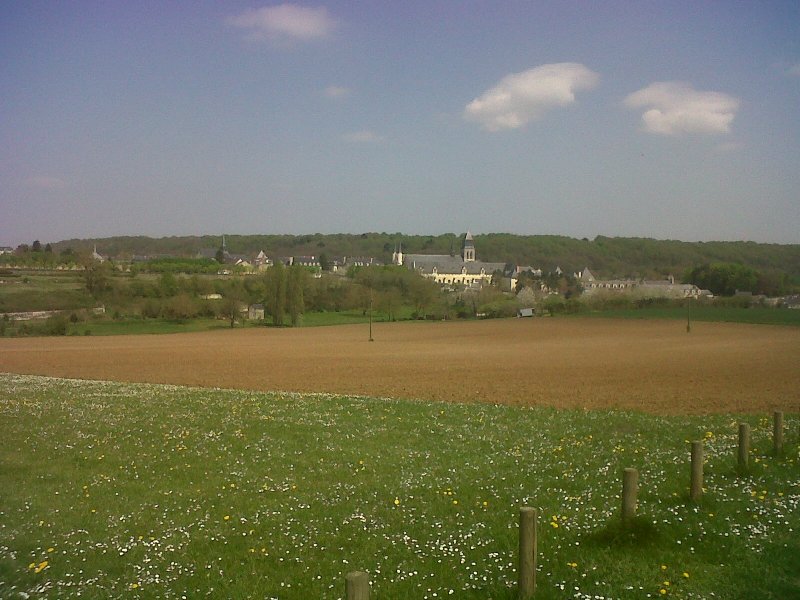 Fontevraud l'Abbaye - Les Forêts