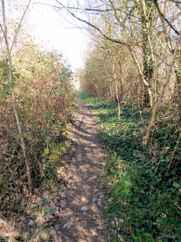 Saint Hilaire St Florent - Le Poitrineau