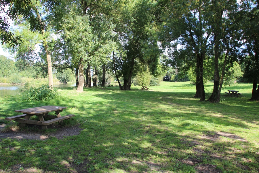 Saumur - Bords Thouet