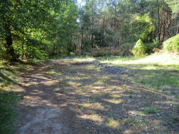 Brain sur Allonnes - Les Landes