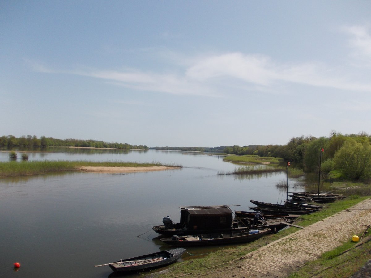 Thoureil (Le) - La Filoussière