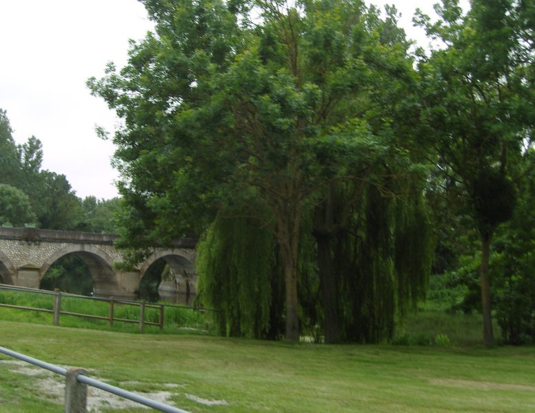 Chacé - Cave aux Chats