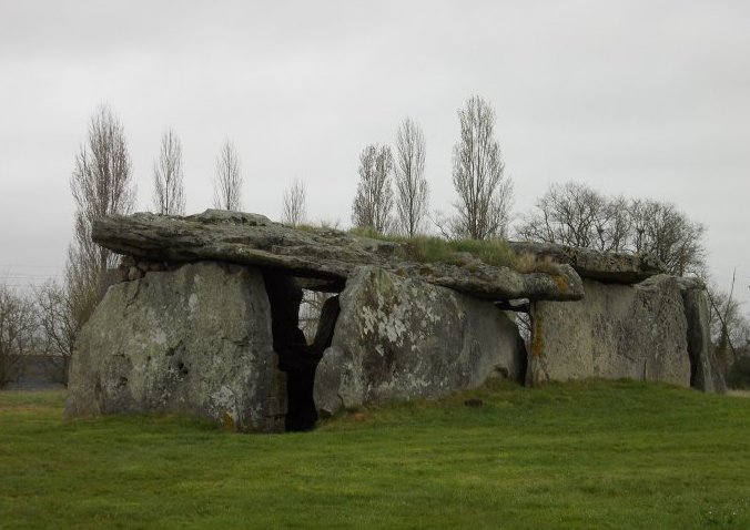 Gennes - L'Ormeau Carré
