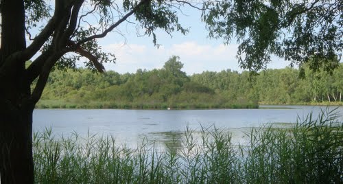 Gennes - Etang de Joreau