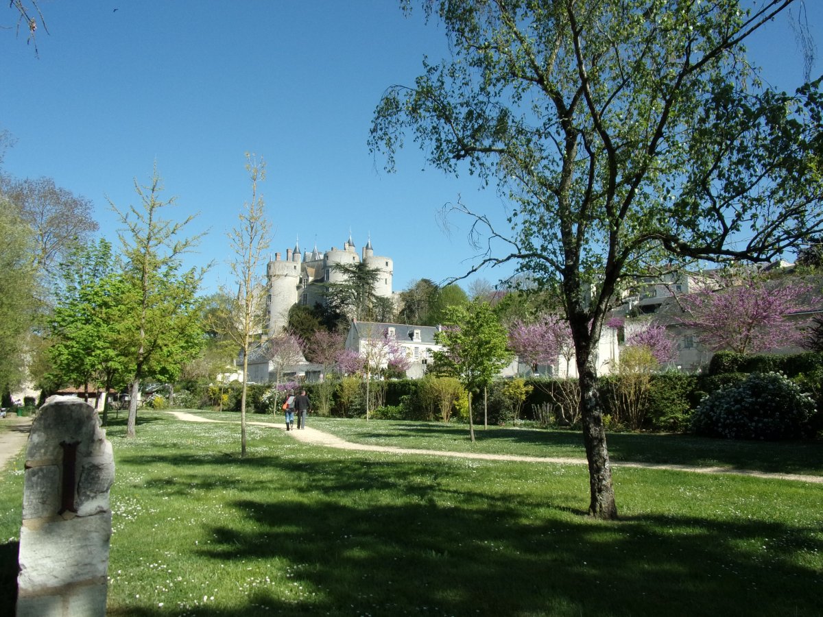 Montreuil Bellay - Forêt de Brossay