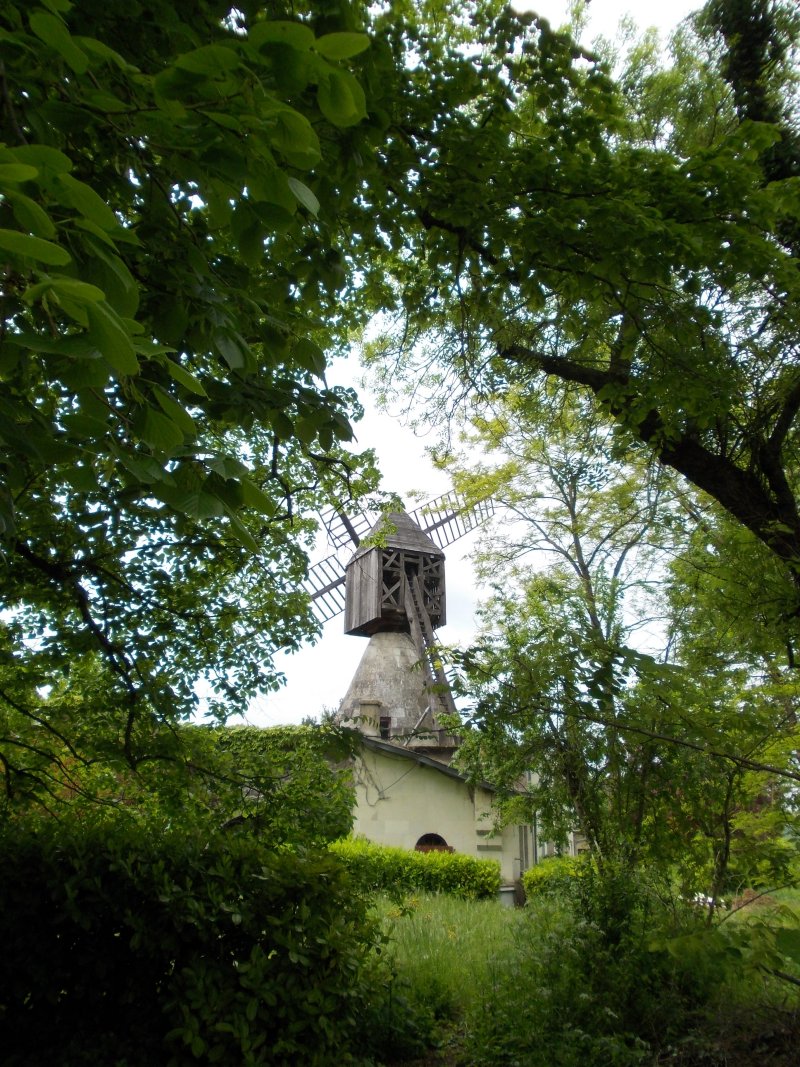 Turquant - Clos St Jean