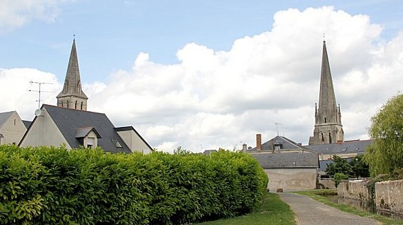 Vernantes - Bois de la Hubeaudière