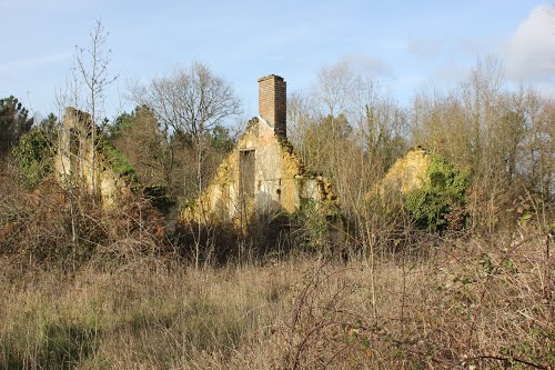 Vernoil - Vau Profond